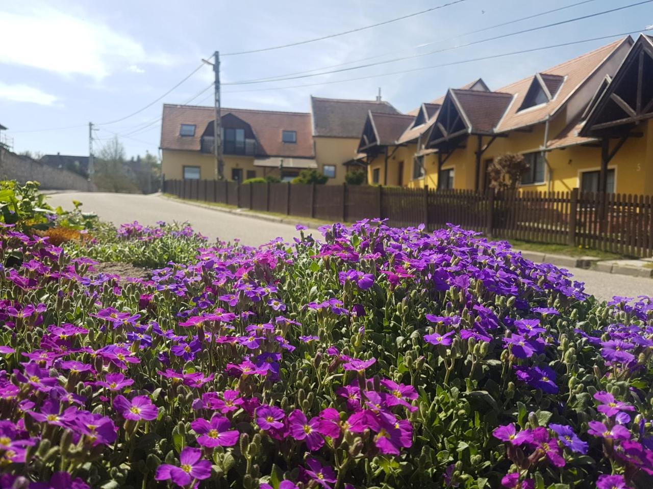 Huber Panzio Bed & Breakfast Fertorakos Exterior photo